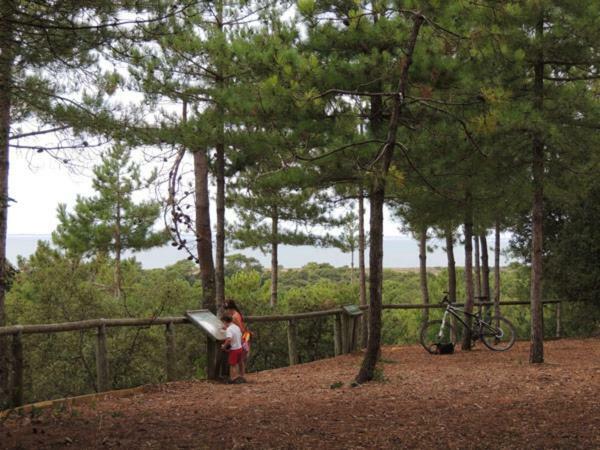 Camping Le Bois Verdon Saint-Jean-de-Monts Extérieur photo